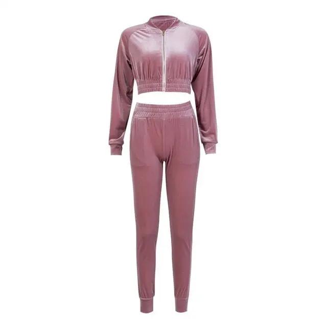 Women Sweatshirt Pants Sets Velvet Tracksuit Velour smooth soft Suit