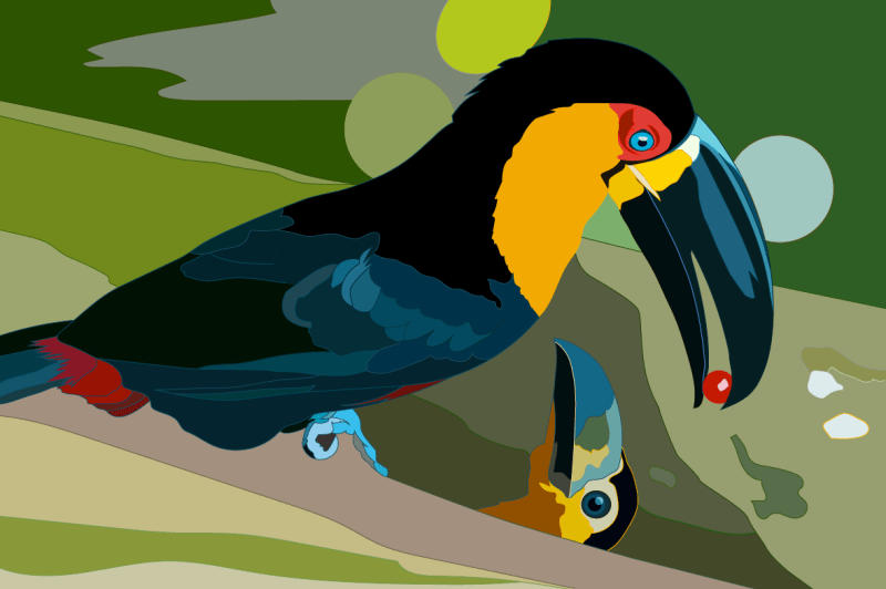 Tropical Toucan - Exotic Bird Vector Art Digital Download - Premium Digital Products for sale