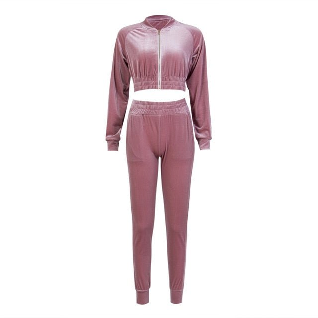 Women Sweatshirt Pants Sets Velvet Tracksuit Velour smooth soft Suit